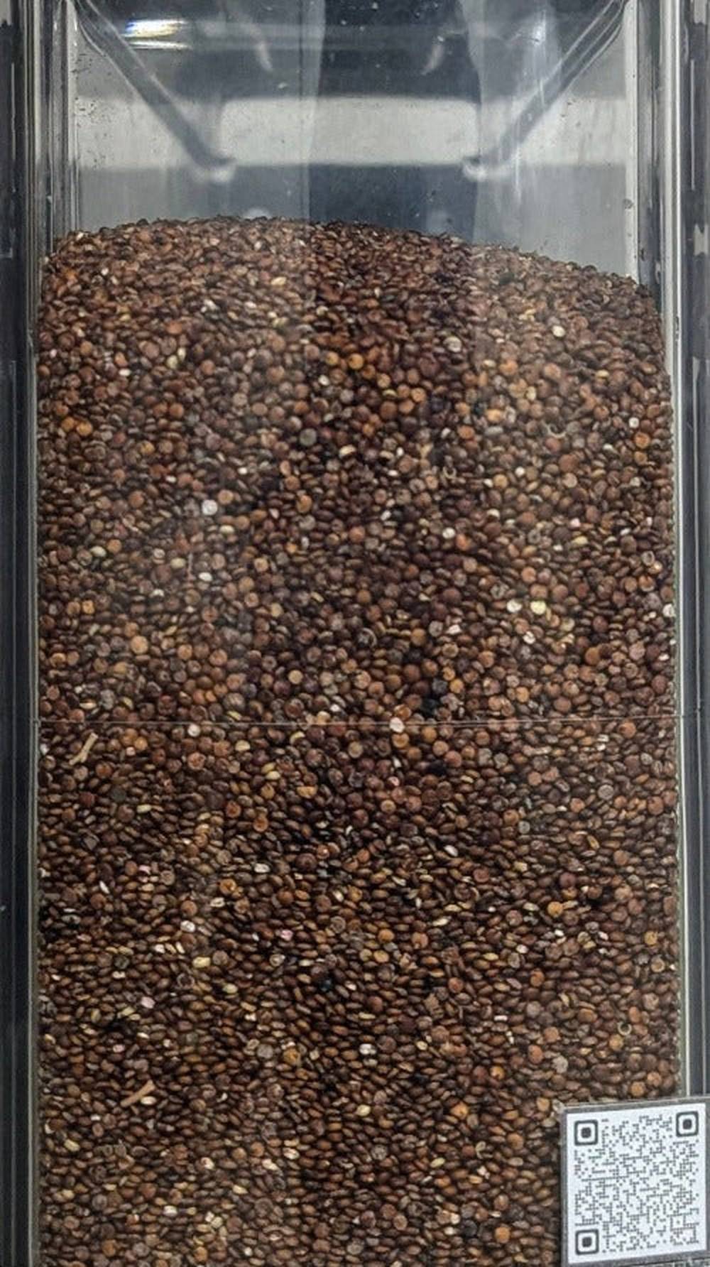 Quinoa Rossa Andina - Del Colle