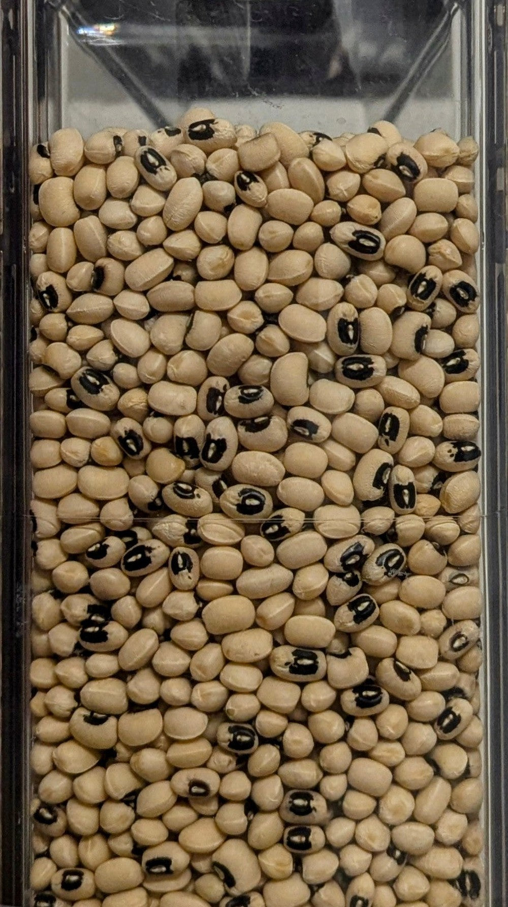 Fagioli dall' Occhio Extra Quality - Del Colle