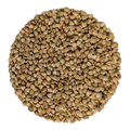 Grano Saraceno - Del Colle