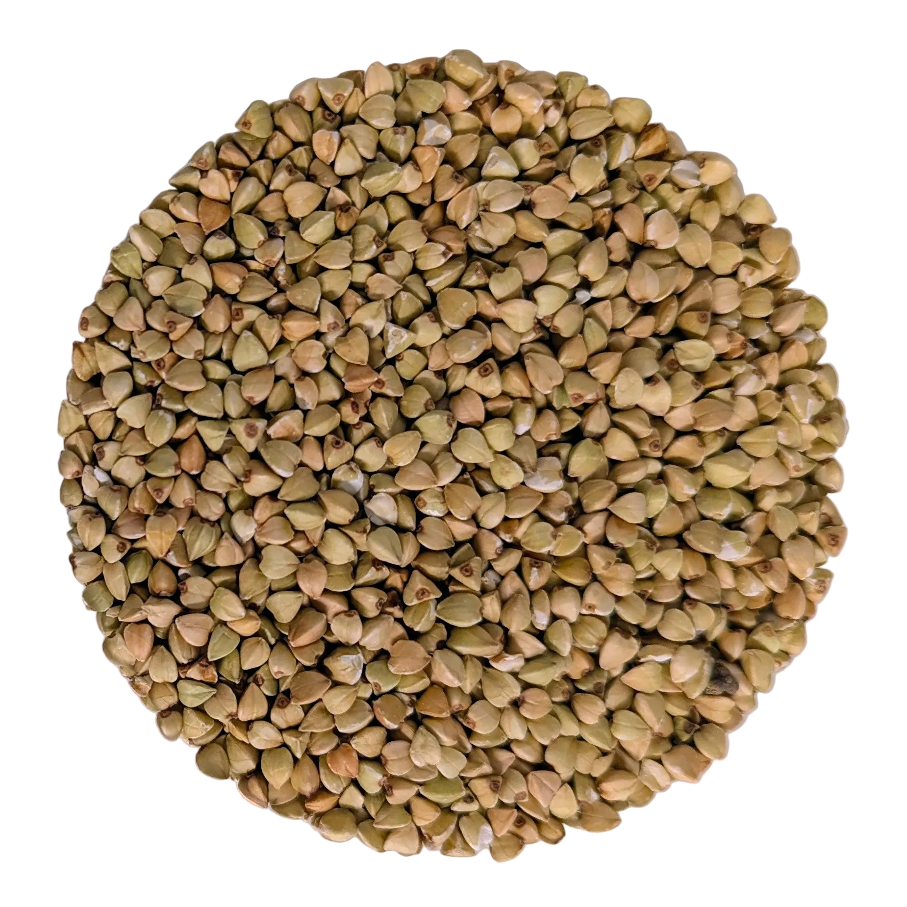 Grano Saraceno - Del Colle