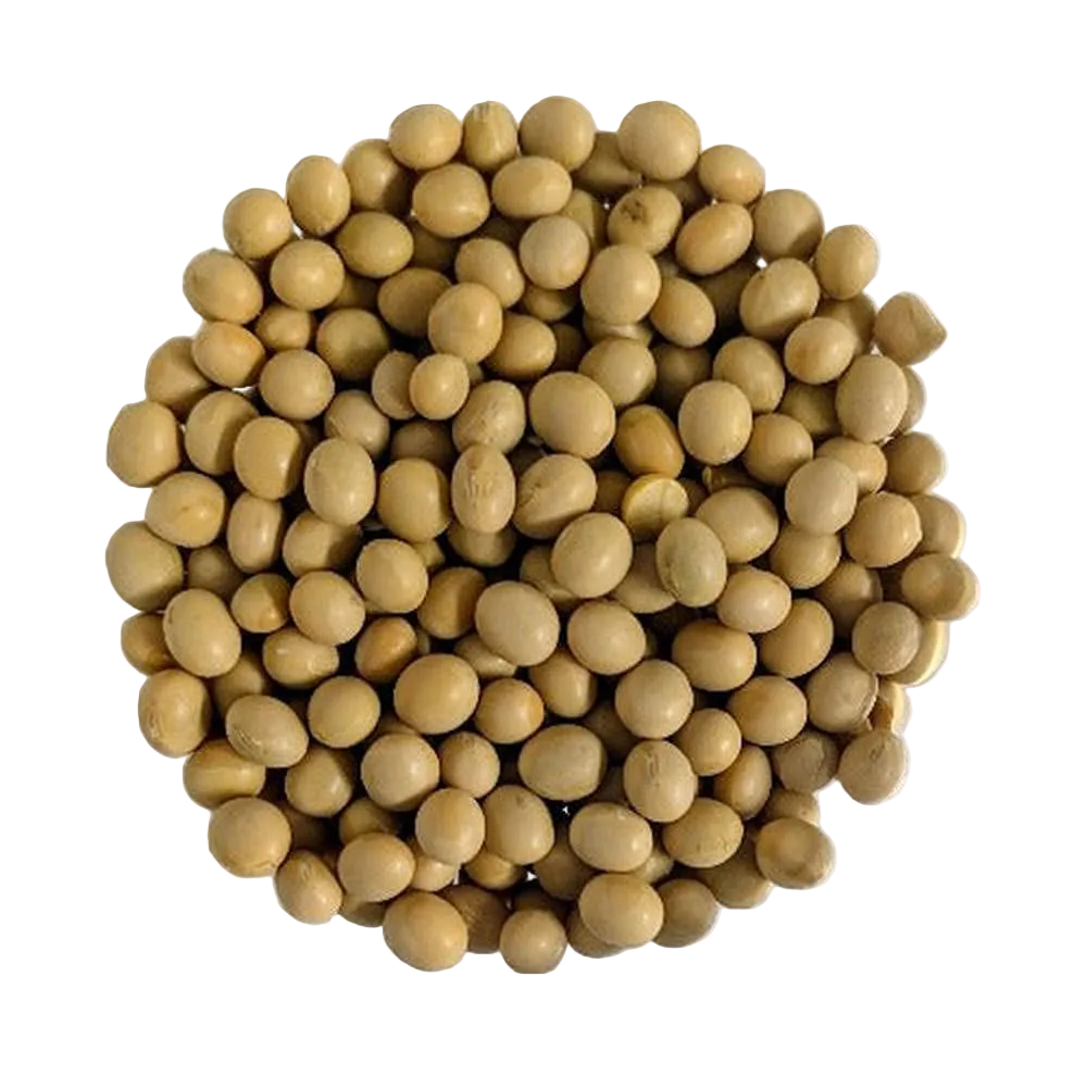 Whole Yellow Organic Soybeans First Choice - Del Colle
