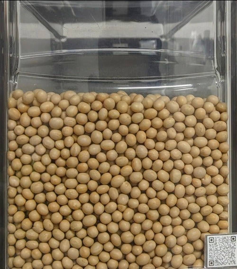 Soia Gialla BIOLOGICA intera Prima Scelta - Del Colle